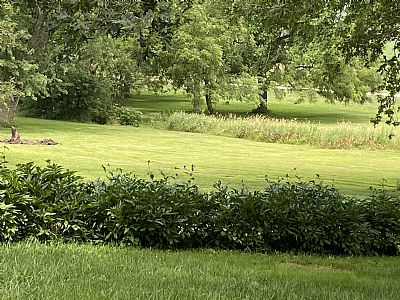 acreage2020 profile photo