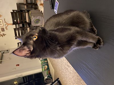 Ostrander51 profile photo