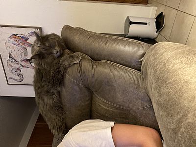 Ostrander51 profile photo