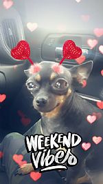 Brandie1 profile photo