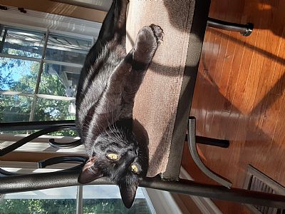 Mereditha201 profile photo