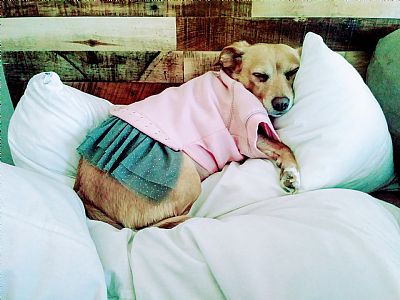 Aboralie profile photo