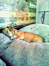 Aboralie profile photo