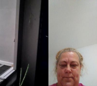 Cissyroo profile photo