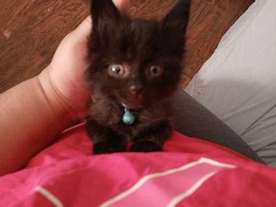 Elizabeth98 profile photo