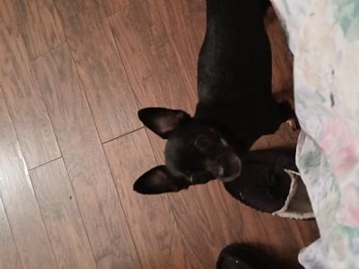 Elizabeth98 profile photo