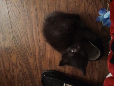 Elizabeth98 profile photo