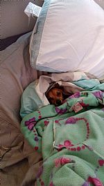 Gypsygenie73 profile photo