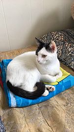 brooklyna profile photo