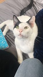 brooklyna profile photo