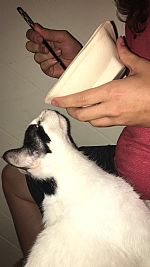 brooklyna profile photo