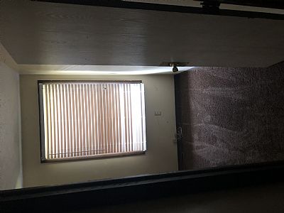 tshank93 profile photo