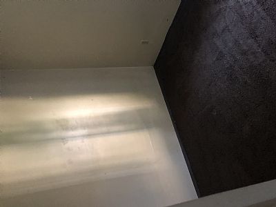 tshank93 profile photo