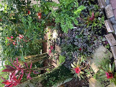 Cal0919 profile photo