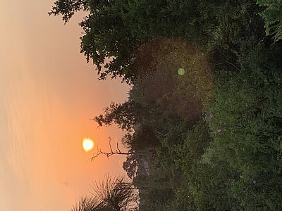 Cal0919 profile photo