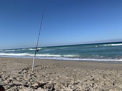 Cal0919 profile photo