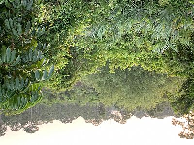 Cal0919 profile photo