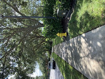 Cal0919 profile photo