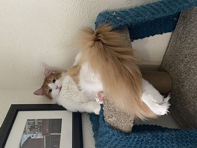 AveryCraddock profile photo