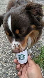 erykahmarie13 profile photo