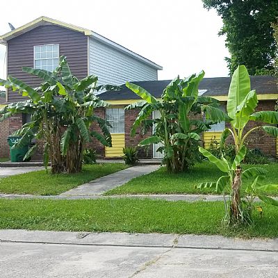 LisaCarey1985 profile photo