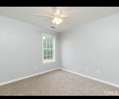 Cdwolf profile photo