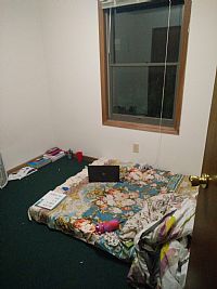 nehavenkat.s profile photo