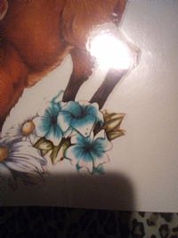 Ravbri profile photo