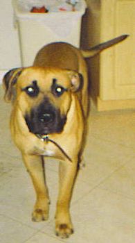 angieema profile photo