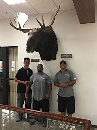 Willis1988 profile photo