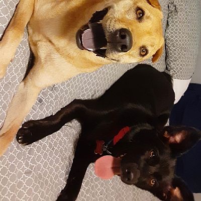 carmena777 profile photo