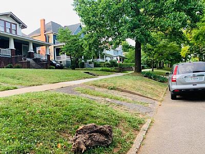 Michelle_G profile photo