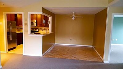 adixon profile photo