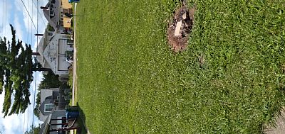 adamasow784 profile photo