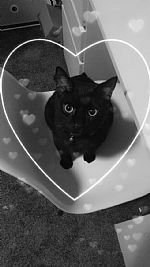 Lizzyjohnson97 profile photo