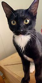 Chelo96 profile photo