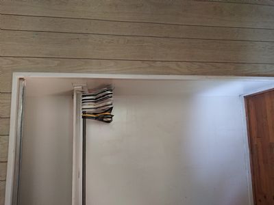 Honey Bunz profile photo