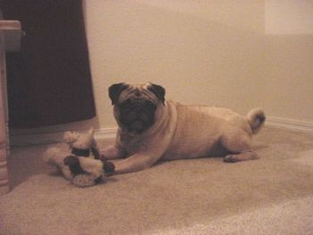 espreso54 profile photo