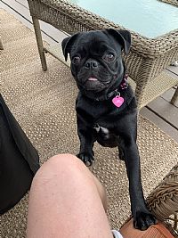 smcallisterlaw9 profile photo