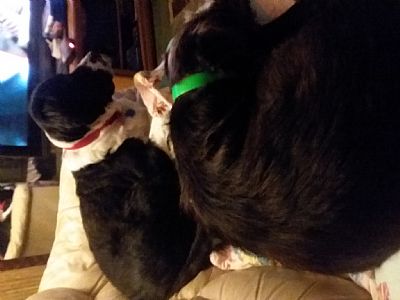 akins2287 profile photo