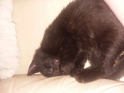 akins2287 profile photo