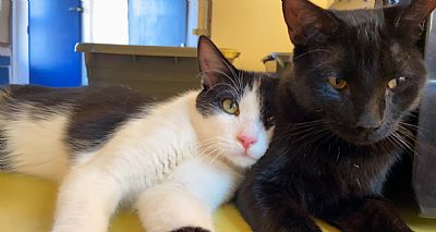 edenskye profile photo