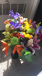 Lauriann profile photo