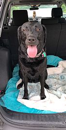 lmagalski123 profile photo