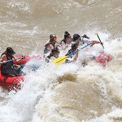 raemoney profile photo