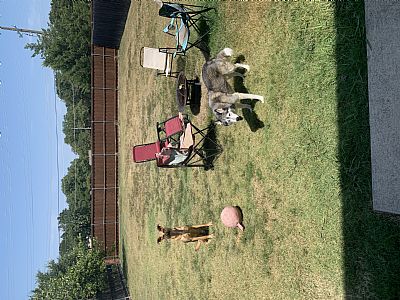 jackweathersby profile photo