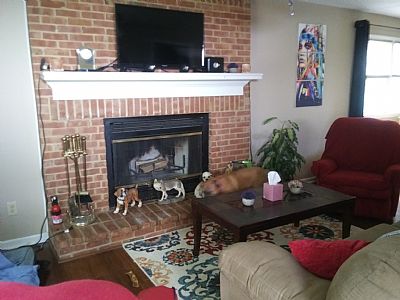 RobynDSt profile photo