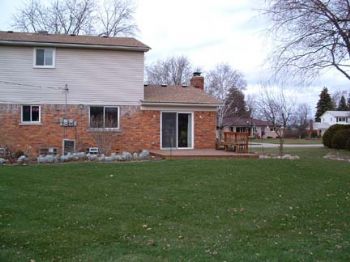 Rubeckia profile photo