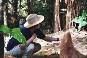 Rubeckia profile photo