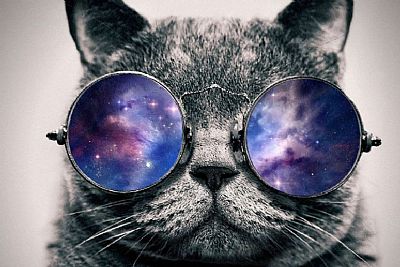 lacydragon24 profile photo